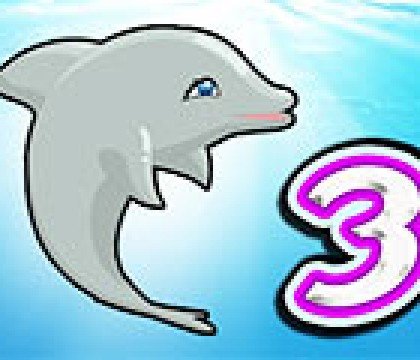Pokaz delfinów 3